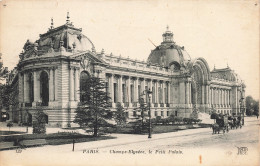 75-PARIS-CHAMPS ELYSEES LE PETIT PALAIS-N°T5308-E/0231 - Champs-Elysées