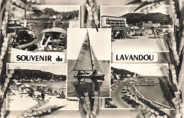 83-LE LAVANDOU-N°T5309-C/0267 - Le Lavandou