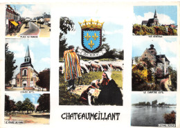 18-CHATEAUMEILLANT-N 587-D/0345 - Châteaumeillant