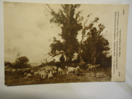 FRANCE POSTCARDS  SALON 1914  SHEEP  ANIMALS   ROUSSERU - Other & Unclassified