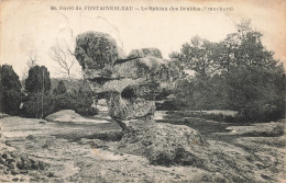 77-FONTAINEBLEAU LA FORET LE SPHINX DES DRUIDES-N°T5309-H/0209 - Fontainebleau