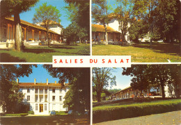 31-SALIES DU SALAT-N 589-B/0019 - Salies-du-Salat