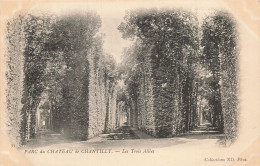 60-CHANTILLY LE CHATEAU-N°T5310-F/0215 - Chantilly