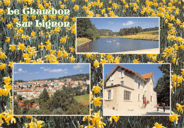 43-LE CHAMBON SUR LIGNON-N 590-C/0099 - Le Chambon-sur-Lignon