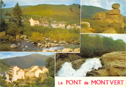 48-LE PONT DE MONTVERT-N 590-D/0279 - Le Pont De Montvert