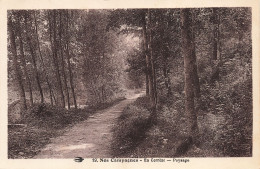 19-CORREZE-N°T5311-F/0009 - Other & Unclassified