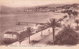 06-CANNES-N°T5311-H/0273 - Cannes