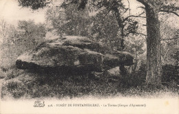 77-FONTAINEBLEAU LA FORET-N°T5311-G/0075 - Fontainebleau