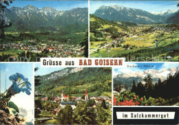 72517893 Bad Goisern Salzkammergut  Goisern - Autres & Non Classés