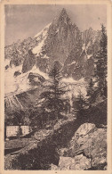74-CHAMONIX AIGUILLE DU DRU-N°T5312-B/0397 - Chamonix-Mont-Blanc