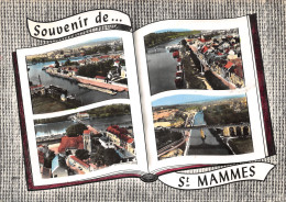 77-SAINT MAMMES-N 593-C/0375 - Saint Mammes