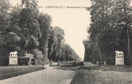 60-CHANTILLY ROUTE DES LIONS-N°T5312-E/0263 - Chantilly