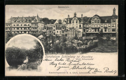 AK Schömberg Bei Neuenbürg, Blick Auf Das Sanatorium  - Schömberg