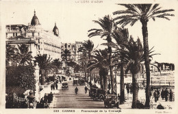 06-CANNES-N°T5313-B/0277 - Cannes