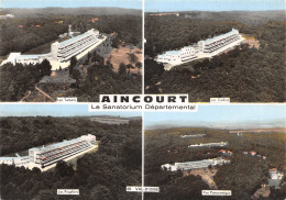 95-AINCOURT-N 595-B/0231 - Other & Unclassified
