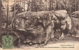 77-FONTAINEBLEAU LA FORET L ELEPHANT-N°T5313-G/0187 - Fontainebleau