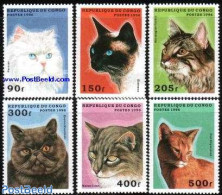 Congo Republic 1996 Cats 6v, Mint NH, Nature - Cats - Autres & Non Classés