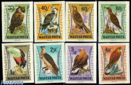 Hungary 1962 Birds Of Prey 8v Imperforated, Mint NH, Nature - Birds - Birds Of Prey - Owls - Ungebraucht