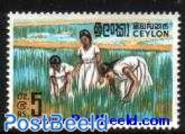 Sri Lanka (Ceylon) 1969 Rice 1v, Mint NH, Health - Various - Food & Drink - Agriculture - Levensmiddelen