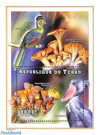 Chad 1998 Mushrooms & Birds S/s, Mint NH, Nature - Birds - Mushrooms - Otros & Sin Clasificación