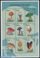 Gambia 1997 Mushrooms 9v M/s, Mint NH, Nature - Mushrooms - Funghi