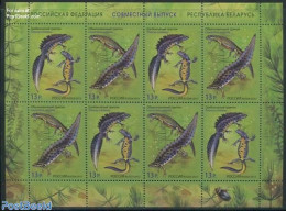 Russia 2012 Joint Issue Belarus M/s, Mint NH, Nature - Various - Animals (others & Mixed) - Joint Issues - Emissioni Congiunte