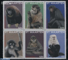St. Maarten 2015 Monkeys 6v [++], Mint NH, Nature - Monkeys - Other & Unclassified
