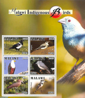 Malawi 2018 Indigenous Birds 6v M/s, Mint NH, Nature - Birds - Birds Of Prey - Kingfishers - Malawi (1964-...)