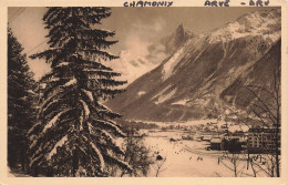 74-CHAMONIX-N°T5315-C/0099 - Chamonix-Mont-Blanc