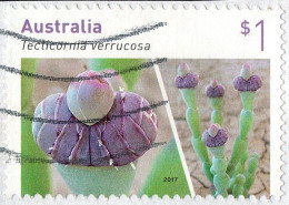 AUSTRALIA 2017 $1 Multicoloured, Australian Succulents-Tecticornia Verrucosa Self Adhesive SG4750 Used - Oblitérés