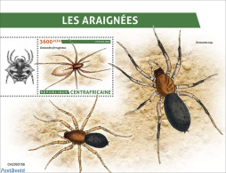 Central Africa 2023 Spiders, Mint NH, Nature - Insects - Centraal-Afrikaanse Republiek