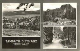 72514805 Dietharz Tambach Landschaftspanorama Felsen Waldweg Thueringer Wald Die - Tambach-Dietharz