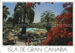 72514746 Puerto Rico Gran Canaria Drillingsblumen Palmen Schwimmbad Gran Canaria - Other & Unclassified