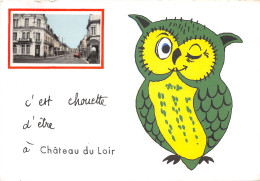 72-CHÂTEAU DU LOIR-N 603-C/0341 - Chateau Du Loir