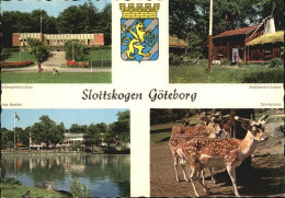 72514504 Goeteborg Slottskogen Bjoerngarsvillan Smalandsstugan Vita Bandet Dohjo - Sweden