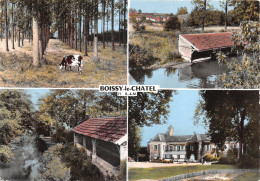 77-BOISSY LE CHATEL-N 604-D/0369 - Other & Unclassified