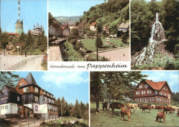 72514409 Pappenheim Thueringen Wanderziele Inselsberg Spiessberghaus Trusetaler- - Otros & Sin Clasificación