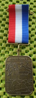 Medaile   :  Avondvierdaagse 1993 Helmond , Stiphout Mierlo -  Original Foto  !!  Medallion  Dutch . - Autres & Non Classés