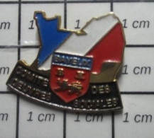 811B Pin's Pins / Beau Et Rare / VILLES / BAYEUX NORMANDIE CALVADOS COS COMITE DES OEUVRES SOCIALES - Calcio