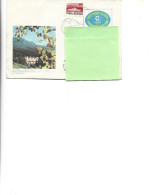 Romania - Postal St.cover Used 1980(324) - Neamt County -  Durau Mountain Resort - Enteros Postales
