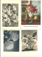 4 Alte Blumenkarten    (1) - Blumen