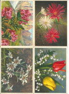 4 Alte Blumenkarten    (5) - Fleurs