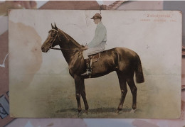 RARE HORSE RACING - 1901 "VOLODYOVSKI" DERBY WINNER - Epsom Derby, Derby Stakes, Surrey England - Ippica