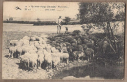 CPA AGRICULTURE ELEVAGE - MOUTONS - Quatre Vingt Dix Neuf Moutons ( 99 Moutons ) Et Un  ... Font CENT TB TROUPEAU - Crías
