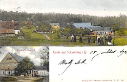 Gruss Aus Schneeberg I. B (multi View Colors Animation Verlag Josef Werner 1903) - Schneeberggebiet