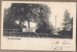 CPA 67 - WOERTH ? - Mac Mahon Baum - TB PLAN PARC EDIFICE Monument + ARBRE + Jolie Oblitération 1904 - Woerth