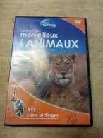 DVD Film Documentaire - Le Monde Merveilleux Des Animauux - Vol. 1 Lions Et Singes - Other & Unclassified