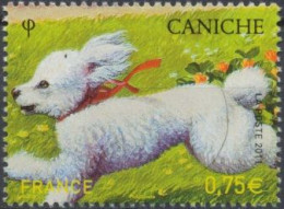2011 - 4547 - Série Nature (XXV) - Les Chiens - Caniche - Unused Stamps