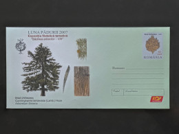 Cod 008/2007 Luna Pădurii 2007 Brad Chinezesc - Postal Stationery