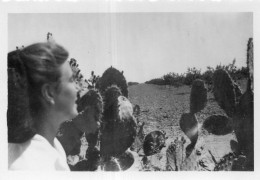 Photo Vintage Paris Snap Shop - Desertique Cactus Desert - Anonymous Persons
